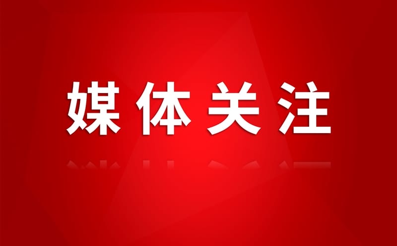 媒体关注丨集团土地整治项目交出亮眼答卷