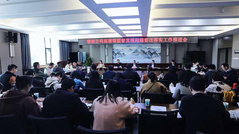 攀西公司召开巡察纪检审计整改事情推进会