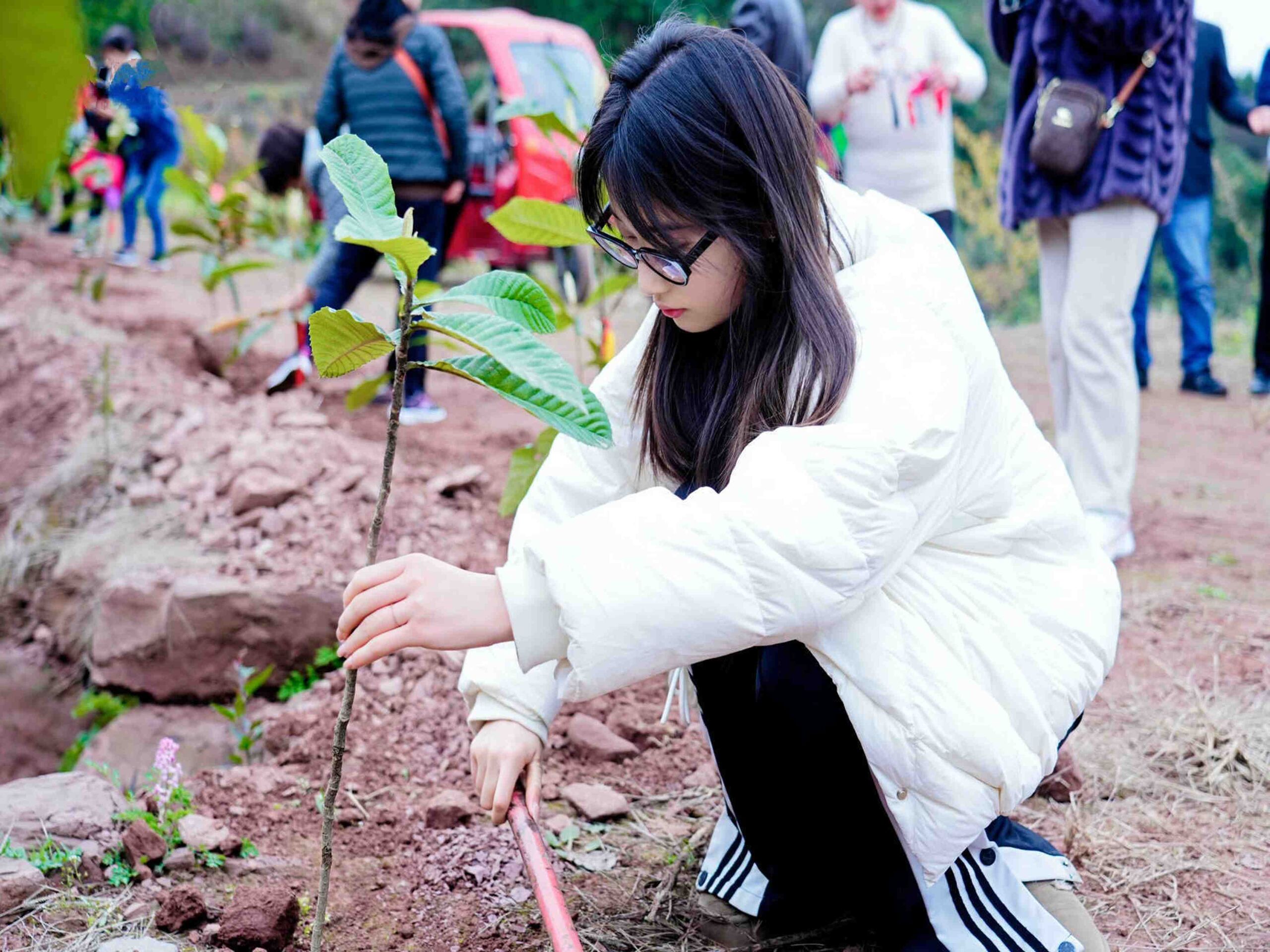 地下空间院植树运动7 地下空间院植树运动7