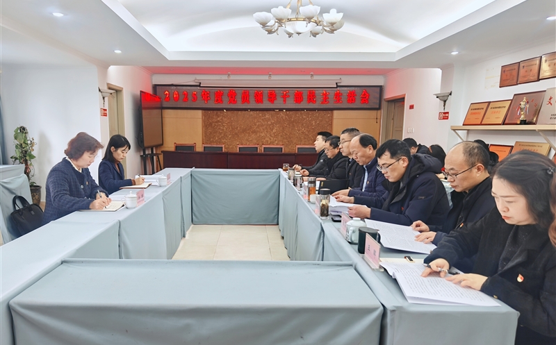 严肃认真查摆问题 凝心聚力同营生长—测绘公司党委召开2025年度党员向导干部民主生涯会