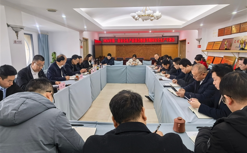 严守清静防地，，，，平安喜迎新年——测绘公司召开2026年第一次安委会暨春节时代清静生产专题会