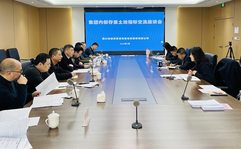 锚定战略协同，，，激活存量价值——流转效劳公司召开集团内部存量土地指标交流座谈会