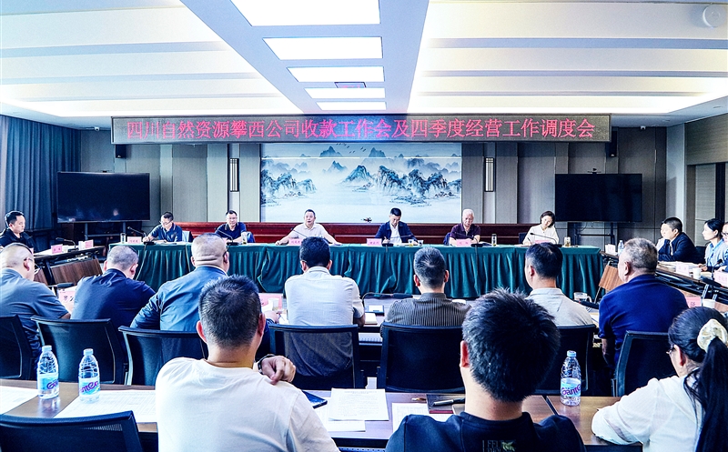 攀西公司召开收款事情会暨四序度谋划事情调理会