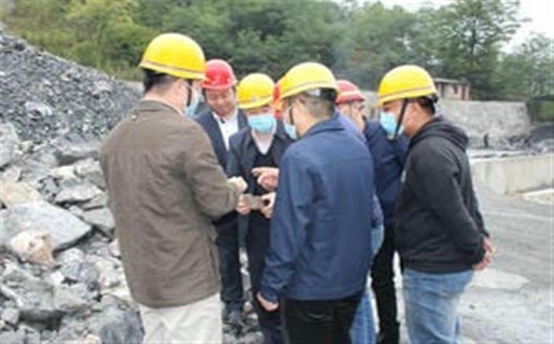 夏廷高到青羊矿业催促检查事情