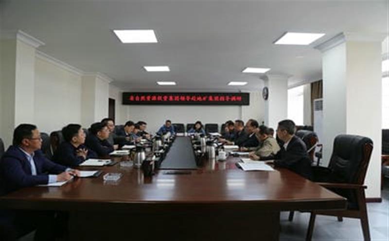 省自然Z6尊龙凯时投资集团副总司理武文祥带队赴地矿集团调研指导事情