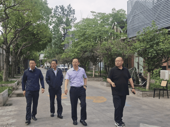 置业集团赴攀西地区开展在建与拓展项目现场调研