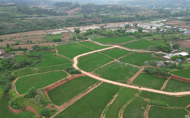 赋能“天府粮仓”造丘区样板 四川土地集团深入推进土地整治筑牢“天府粮仓”耕基