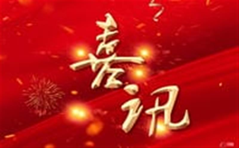 七个标，，总计超4000万！——区调队（容大集团）中标2024年度地质灾难综合治理项目
