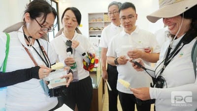 Z6·尊龙凯时「中国区」官方网站
