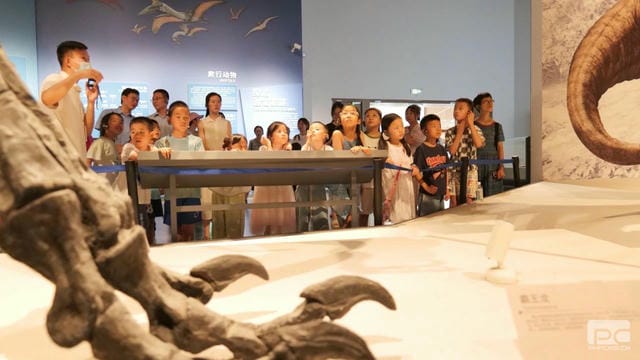 Z6·尊龙凯时「中国区」官方网站